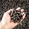 Il legno della biomassa del caffè di doppio strato appallottola la macchina 0.6mm 1500kgs/H