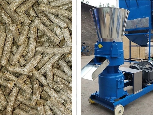 Biomassa di legno Hay Pellet Maker Durable del mulino dell'appalottolatore di anti attrito di MIKIM