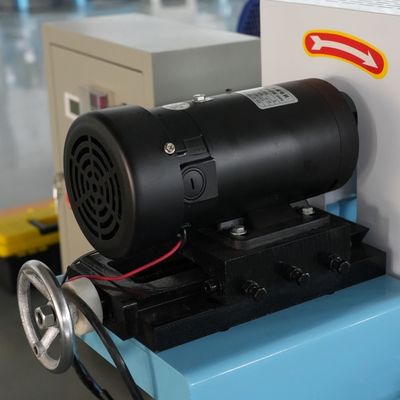 Il CE personalizza il tempo di impiego lungo di Cat Fish Feed Extruder Machine dell'animale domestico delle muffe