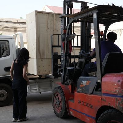 Macchina per la produzione di mangimi per animali domestici estrusore per mangimi per pesci per cani e gatti per la lavorazione dei mangimi