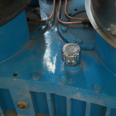 Mulino di legno della pallina di alta efficienza per la paglia della buccia del riso della segatura di legno della biomassa