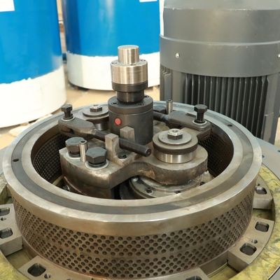 Pallina di plastica del combustibile biologico della bagassa dell'alfalfa che fa macchina 5000kg/H 2mm