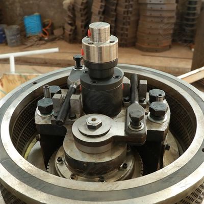 Il legno dell'eucalyptus del combustibile appallottola la macchina Ring Die verticale 3t/H