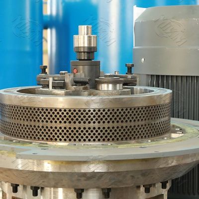 Linea di produzione del combustibile a pellet di paglia di biomassa completamente automatica ed efficiente