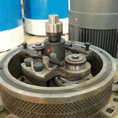 Il legno della biomassa del caffè di doppio strato appallottola la macchina 0.6mm 1500kgs/H