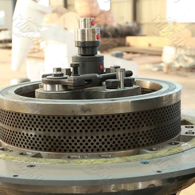 Apparecchiature per la linea di produzione automatica di pelletizzazione di biomassa di paglia ad alta efficienza