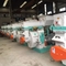 1 - 10 linea di produzione del t/h 1.1kw Ring Die Wood Pellets Machine cuscinetti di SKF