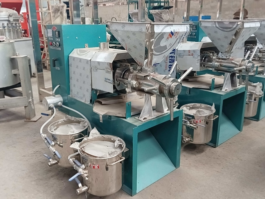 macchina automatica della stampa di olio 380V, macchina di fabbricazione dell'olio da cucina del Sus