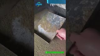 Mulino a pellet per mangime per gamberetti | Demo di produzione di prodotti finiti in fabbrica#macchina per pellet di alimentazione