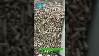 Macchina per pellet di legno a biomassa | Mulino ad anello per la produzione di pellet di segatura